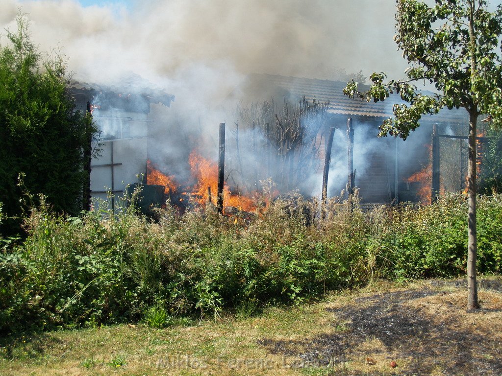 Gartenlaube in Vollbrand Koeln Poll Im Gremberger Waeldchen P005.JPG